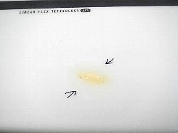 �G�|�L�V Firewire 13_1